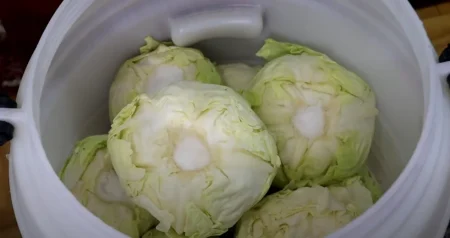 Ove sorte kupusa su najgori izbor za kiseljenje i zimnicu