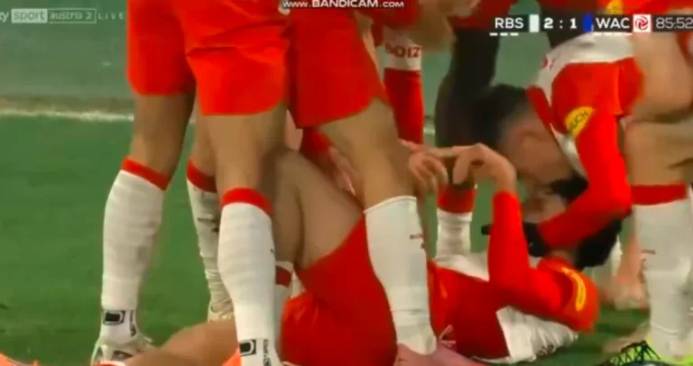 (VIDEO) SCENA ZA PAMĆENJE: Alajbegović je ležao u bolovima, a srbijanski fudbaler mu je prišao i uradio ovo…