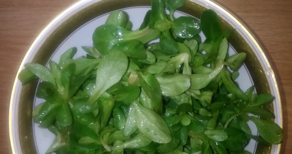 Održite salatu svježom, trik s aluminijskom folijom koji morate isprobati