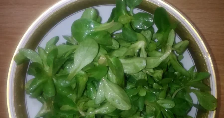 Održite salatu svježom, trik s aluminijskom folijom koji morate isprobati