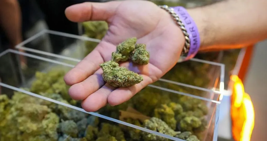 Tramp odobrio širu upotrebu kanabisa