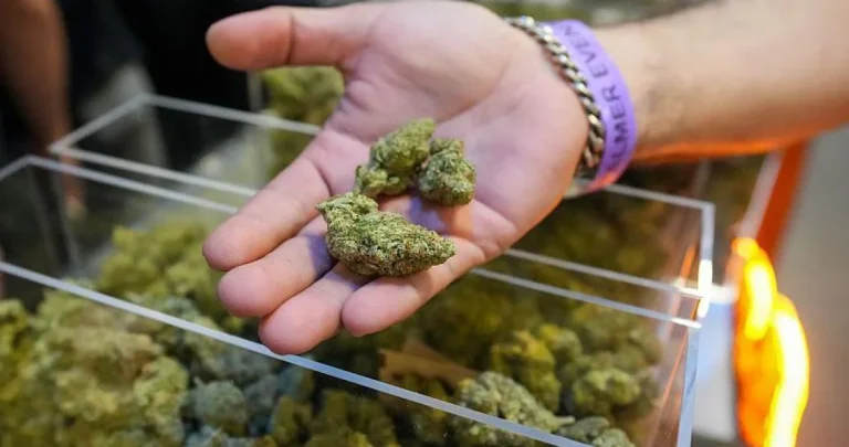 Tramp odobrio širu upotrebu kanabisa