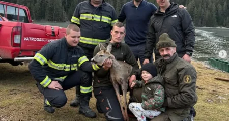(VIDEO) Led je popuštao, vrijeme isticalo: Spasioci spasili srnu u posljednjem trenutku
