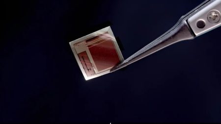 Amerikanci upakirali 65 tisuća elektroda u čip za mozak tanak poput papira