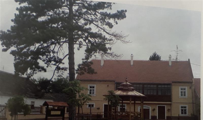 Pet činjenica o velikom naučniku Milutinu Milankoviću