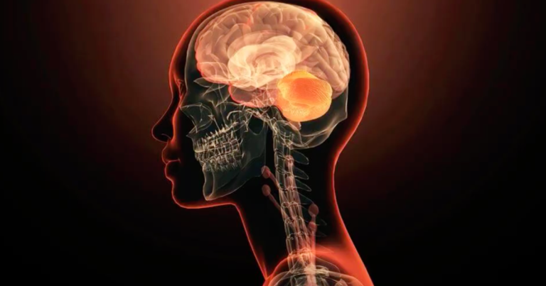 Istraživanje je pokazalo da su mutacije u jednom genu povezane s mentalnim bolestima Istraživanje je pokazalo da su mutacije u jednom genu povezane s mentalnim bolestima