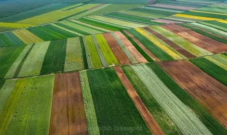 Zemljište u BiH zapušteno i betonirano: Naučnici upozoravaju da proizvodimo tek četvrtinu potrebne hrane
