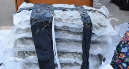 Kod Umaga zaplijenjeno više od 11 kilograma marihuane