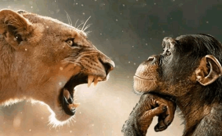 Rage bait – Oxfordova riječ godine