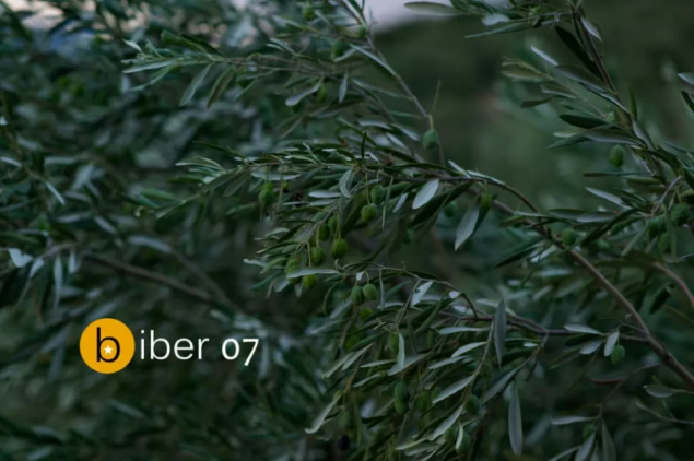 Raspisan sedmi konkurs za kratku priču Biber Raspisan sedmi konkurs za kratku priču Biber