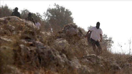 Ilegalni doseljenici ranili troje palestinske djece, izraelska vojska privela najmanje 40 osoba