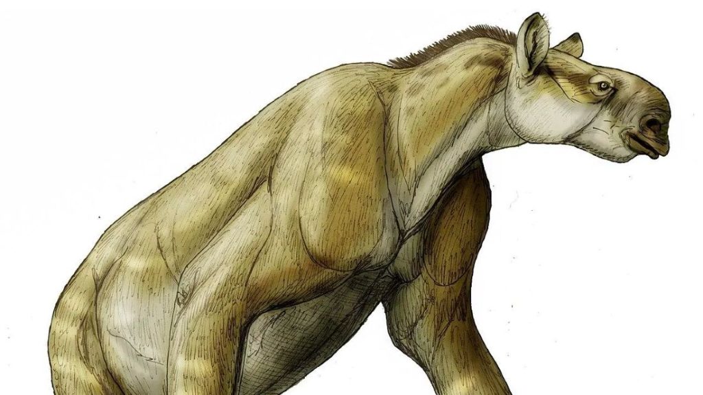 Upoznajte jednog od najčudnijih sisara u evoluciji: Imao je glavu nalik konjskoj i kandže poput ljenjivaca