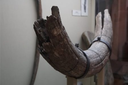 Priče iz Zemaljskog muzeja BiH – Fosil mamuta kao svjedok naše ledene prošlosti