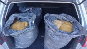 (FOTO) Akcija Market 3 u Mostaru: Oduzeti duhan i mašine vrijedne više od 100.000 KM