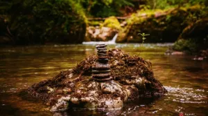 Tišina kod Šamca: Zaštićena močvara koja brani od poplava i doprinosi razvoju