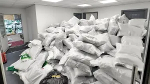 Šokantan slučaj u Britaniji: Majka desetero djece 25 godina imala robinju, detalji su jezivi