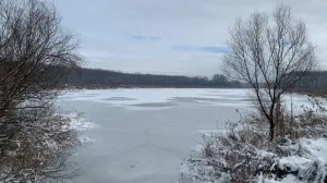 Šta se dešava: Pocrvenio Dunav u Beogradu, zabrinjavajući prizor