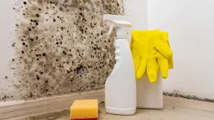 Vaš mali kutak iz snova: Kako stvoriti funkcionalan kućni ured u ograničenom prostoru?