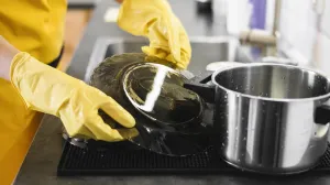 Čist dom bez muke: Sedam profesionalnih trikova za čišćenje koje svako treba znati