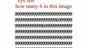 Ako ih ne vidite, prijeti vam demencija: Možete li pronaći patku, leptira i šišmiša na slici?