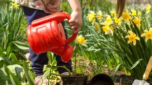 Zaboravite ribanje: Ovaj trik sa papirom uklanja masnoću sa posuda za samo 30 sekundi