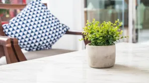 Stavite ovo u svaki ćošak: Kuća će mirisati poput luksuznog hotela tokom cijele sedmice