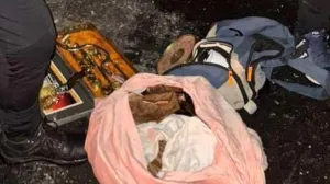 Dvije akcije u BiH: Policija lovila lopove, više uhapšenih zbog serije krađa