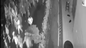 Poznato kako je Torcida prevarila graničnu policiju, ušla u BiH i napala Delije