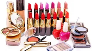 Kontrola na bh. putu: Oduzet motocikl za kojim traga Interpol