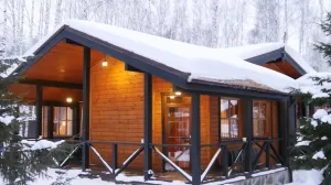 Privući će novac poput magneta: Stavite ovo u novčanik i posmatrajte čudo