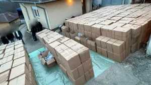 Detalji najveće zapljene droge u Srbiji: Otac i sin preko sadnica valjali marihuanu od 50 miliona eura