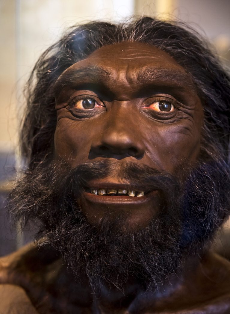 Nekada je na planeti bilo samo 1.000 reproduktivno sposobnih ljudi: Jesmo li bili na ivici izumiranja