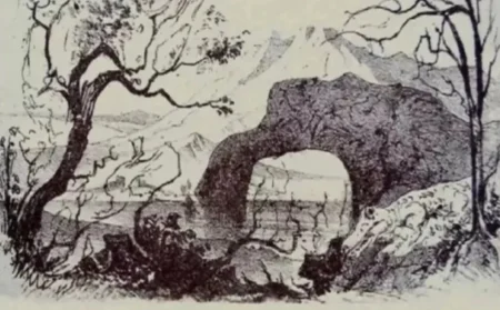 Testirajte svoj IQ: Ako pronađete sve životinje na ilustraciji, spadate među najinteligentnije