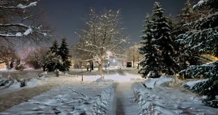 Neobičan prizor: Šta se dešava sa rasvjetom u parku Safeta Isovića – Diskoteka za prolaznike ili?