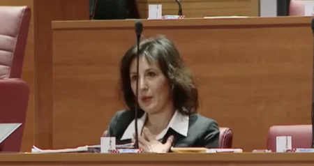 Zastupnicu stresla struja tokom sjednice hrvatskog Sabora: Dajte stanku, jeste li u redu?