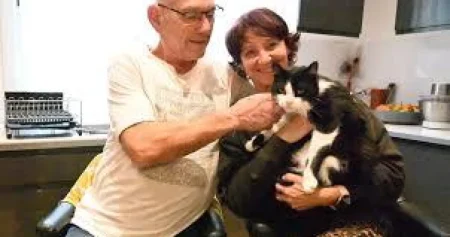 Par iz Francuske na odmoru u Španiji izgubio mačka, on pronašao put kući nakon pet mjeseci