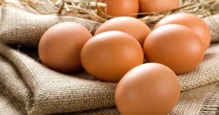 Prehrambeni tehničari objasnili: Postoji li razlika između bijelih i smeđih jaja?