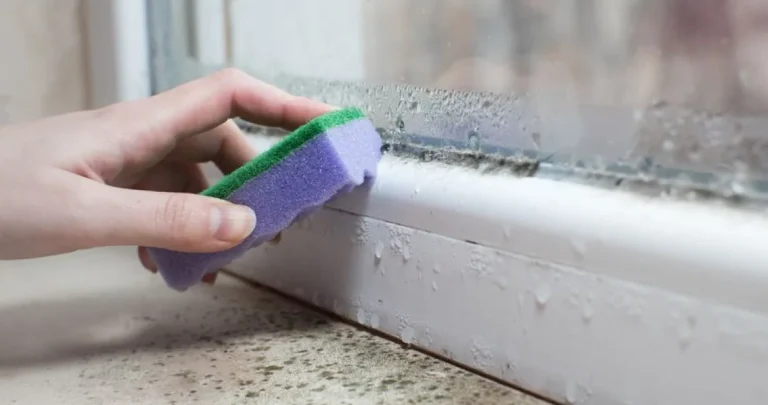 Neprijatelj našeg organizma, ali i doma: Koliko je vlaga u kući opasna po naše zdravlje