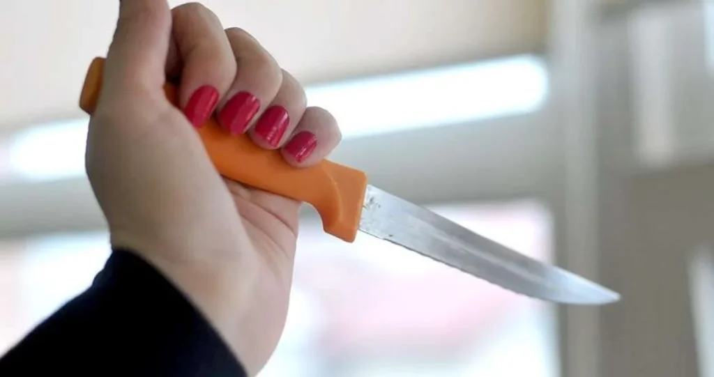 Policija zatekla stravičnu scenu: 12-godišnjak izboden nožem u vrat, sumnja se da je majka ubica