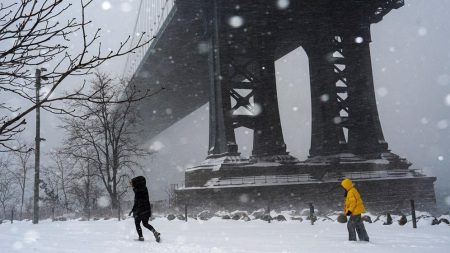 Snežna oluja paralisala Ameriku, desetine mrtvih, stotine hiljada bez struje
