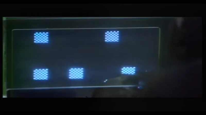 Crtala, brojala i učila: Preminula Ai, čimpanza-genije koja je oduševila svijet