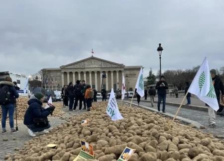 Francuski poljoprivrednici istovarili 30 tona krompira ispred parlamenta u znak protesta