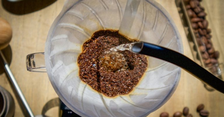 Jedenje zoca – dobro za zdravlje