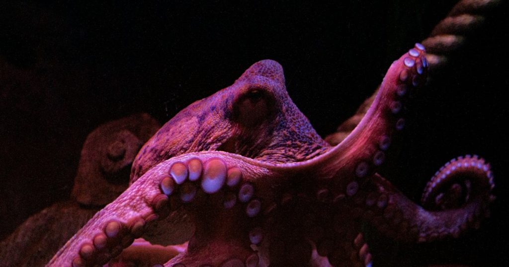 Umjetna fotonska koža koju je moguće programirati