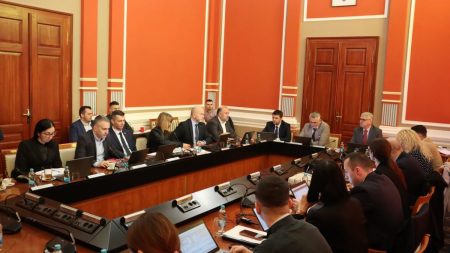 Vlada usvojila odluku o visini dječijeg doplatka i programe utroška sredstava Fondu zdravstvenog osiguranja