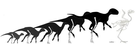 Naučnici otkrili dinosaurusa veličine pileta