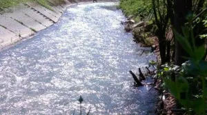 Drama u bh. gradu: Policajci spriječili samoubistvo mlade žene – Uspjeli smo da je uhvatimo za ruke