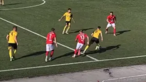 (ZVANIČNO) Safet Nadarević započeo iznenađujući angažman