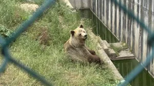 Omiljeno okupljalište mališana iz Sarajeva i drugih mjesta: Pionirska dolina uskoro u novom ruhu Omiljeno okupljalište mališana iz Sarajeva i drugih mjesta: Pionirska dolina uskoro u novom ruhu
