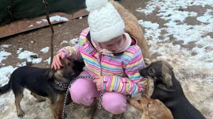 (VIDEO) Ima još dobrih ljudi: Djevojčica iz BiH željela ovcu, pa dobila stado